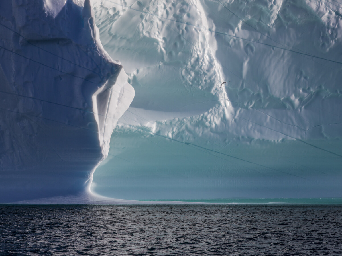 diane-tuft-amidst-the-icebergs-disko-bay-greenland-9_20-pm