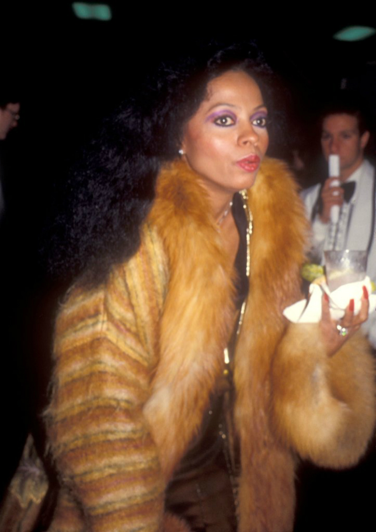 8dianaross_beautylooks_08.jpg