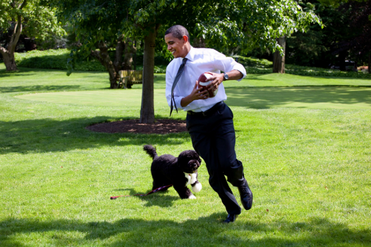7obamas_pics_01.jpg