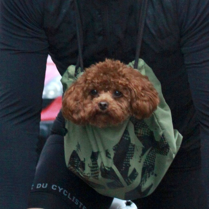 blood_dog_bikeride_01.jpg