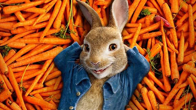 rabbit_carrots.jpg