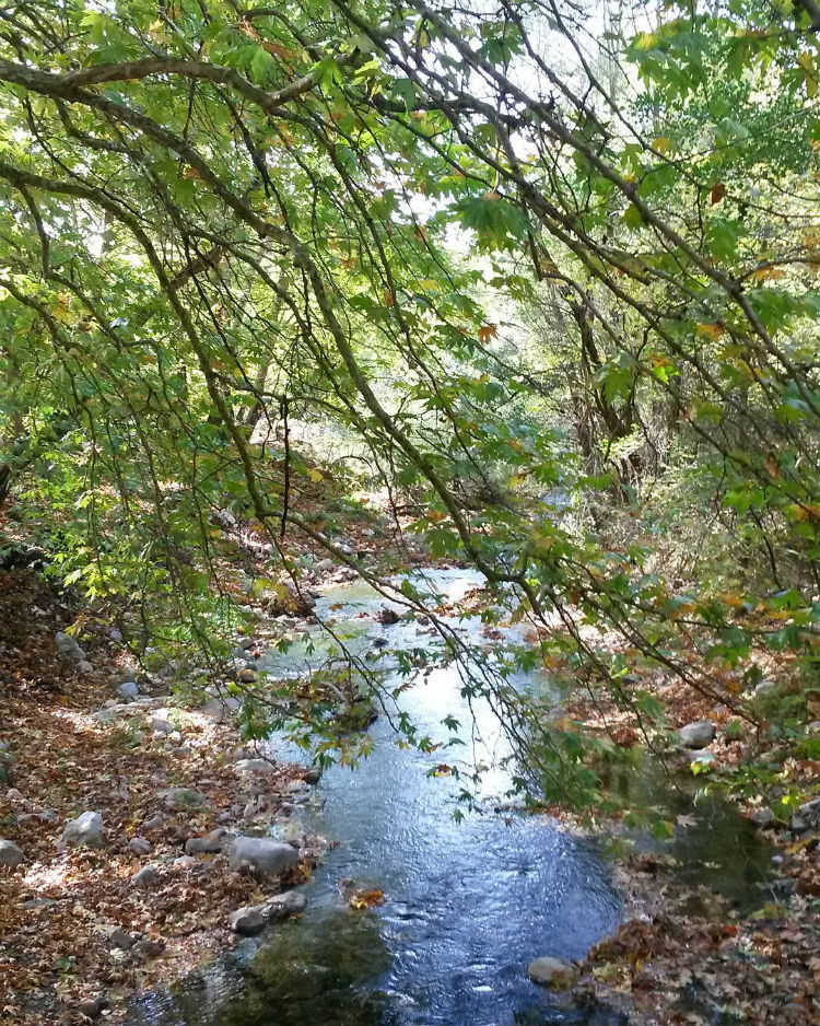 karpenisi3.jpg