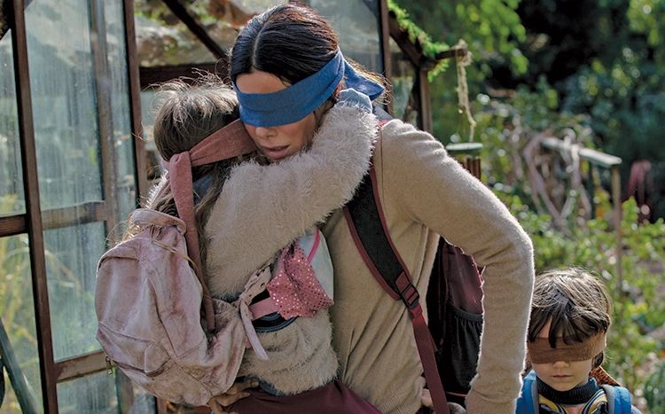 birdbox.jpg