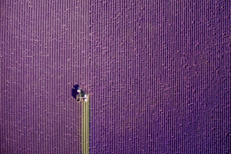 drone1.jpg