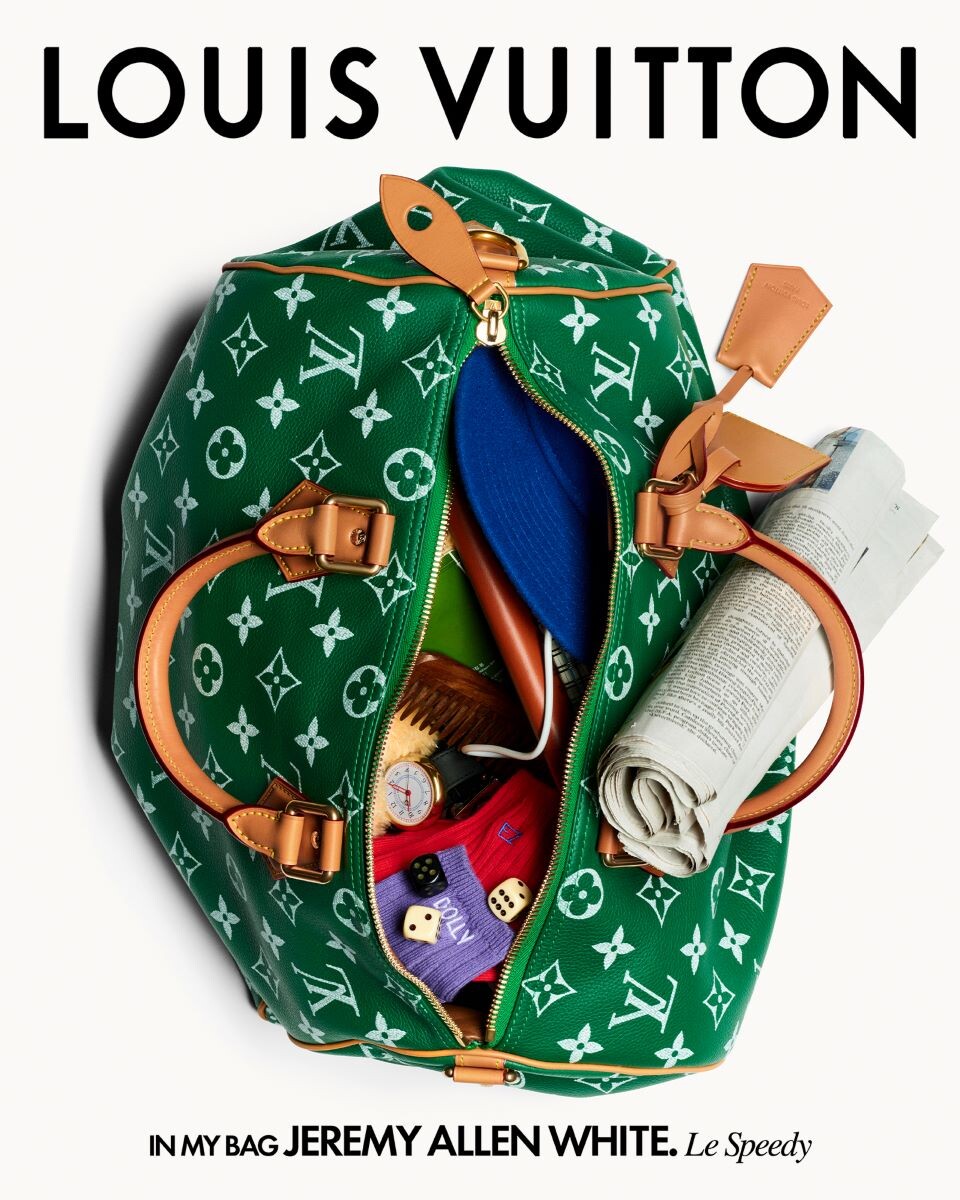 lv speedy bag