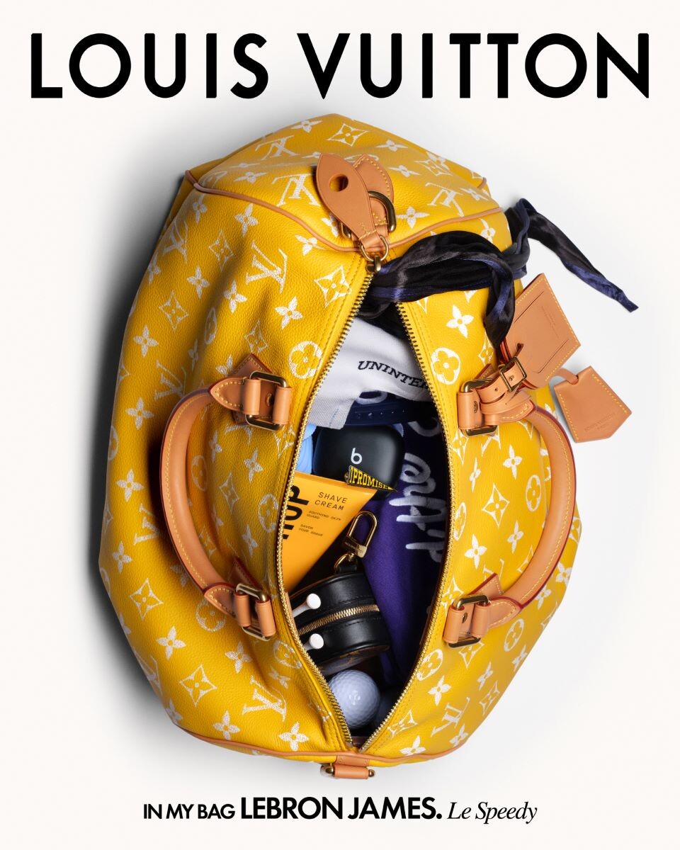 lv speedy bag