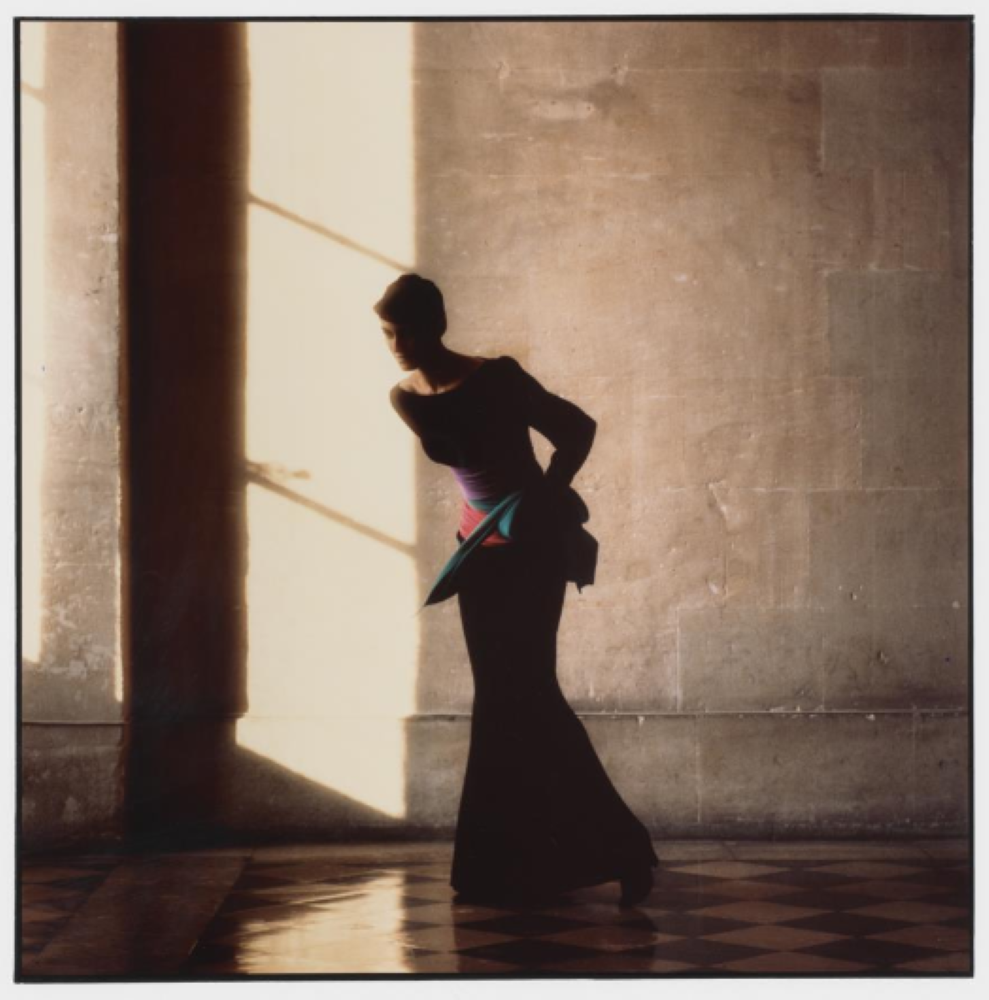 exhib YSL photography