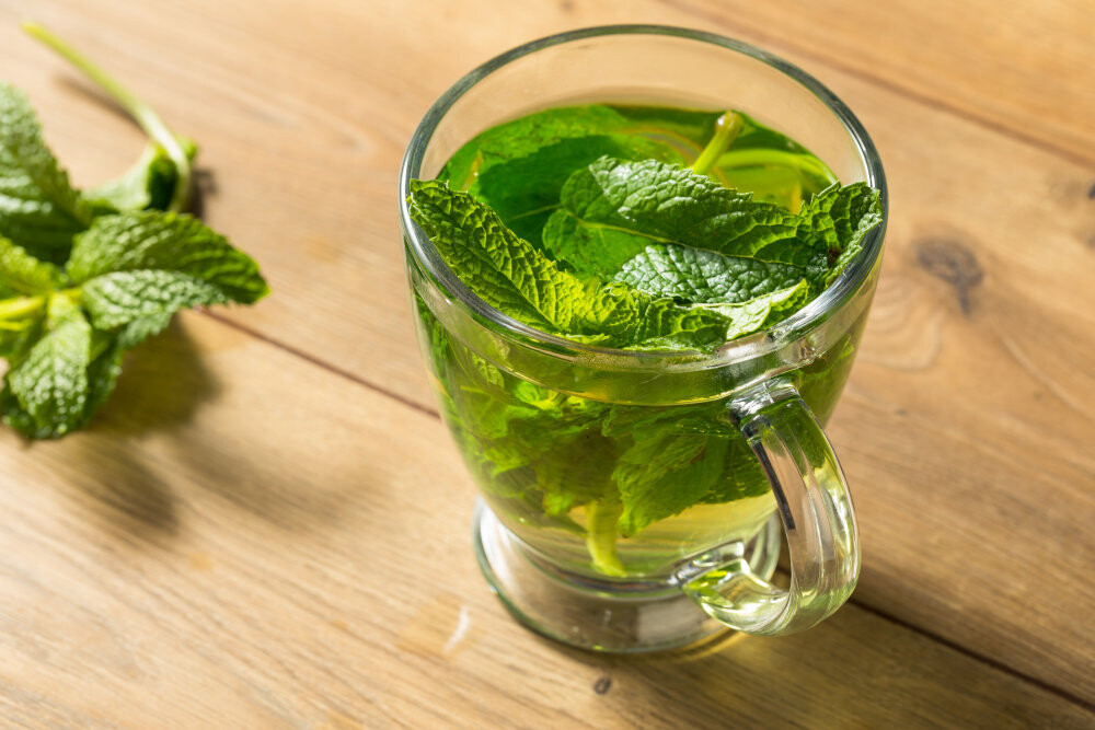 homemade-hot-fresh-mint-tea-2021-08-26-16-20-54-utc