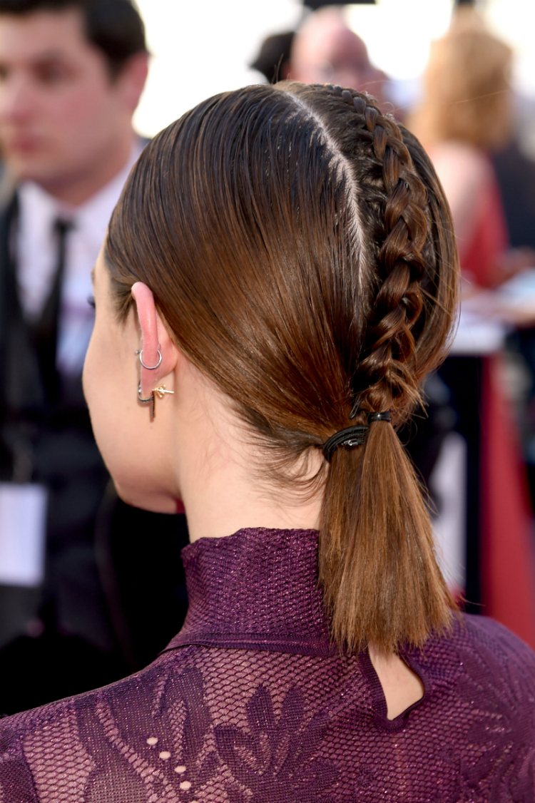 10dos4shorthair_01.jpg