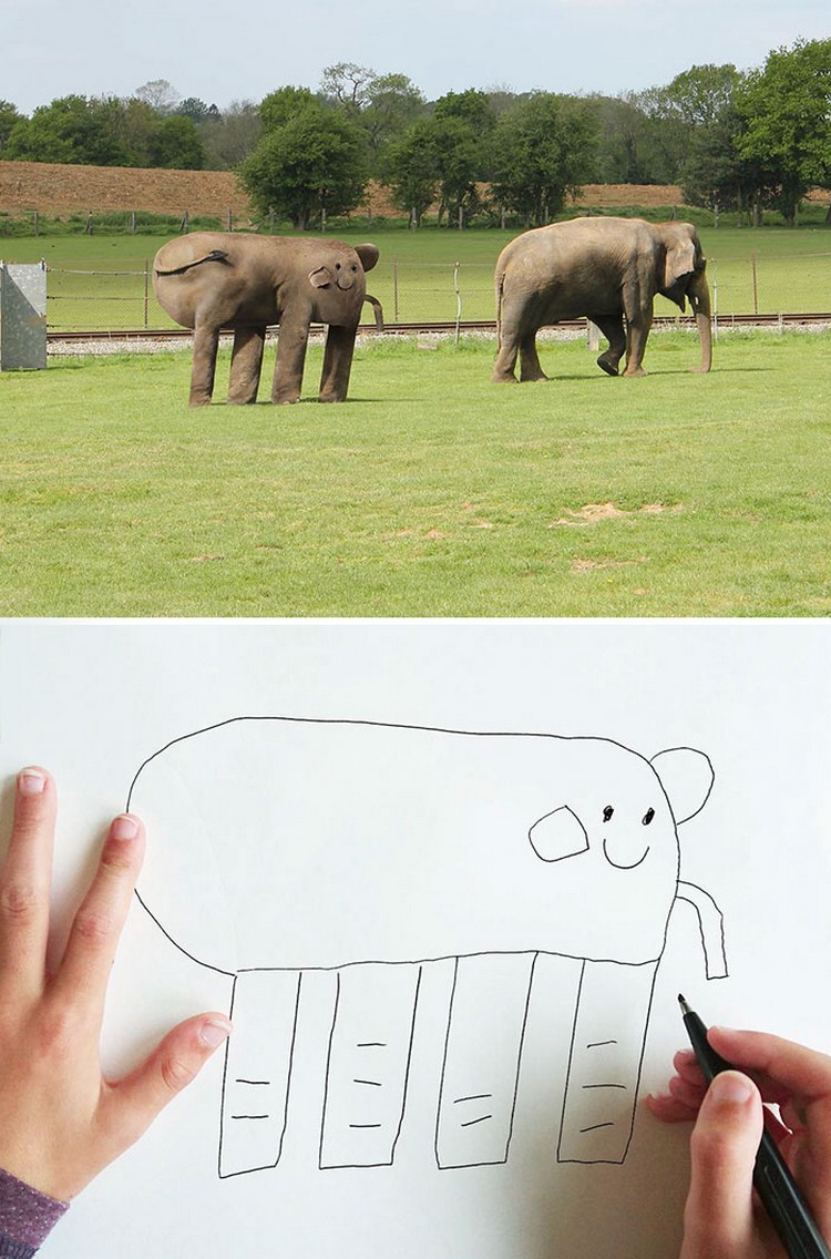 eleph1.jpg