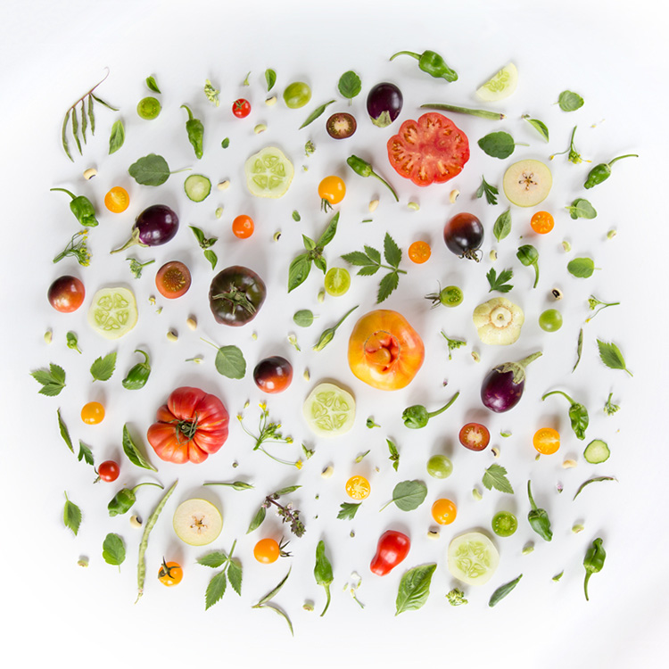 foodcollage1.jpg
