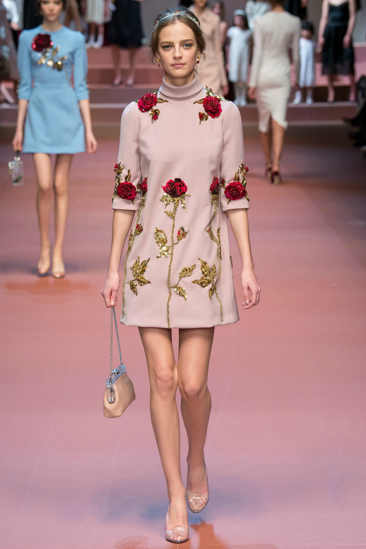 d&gfall15_3.jpg