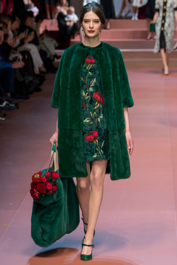 d&gfall15_8.jpg