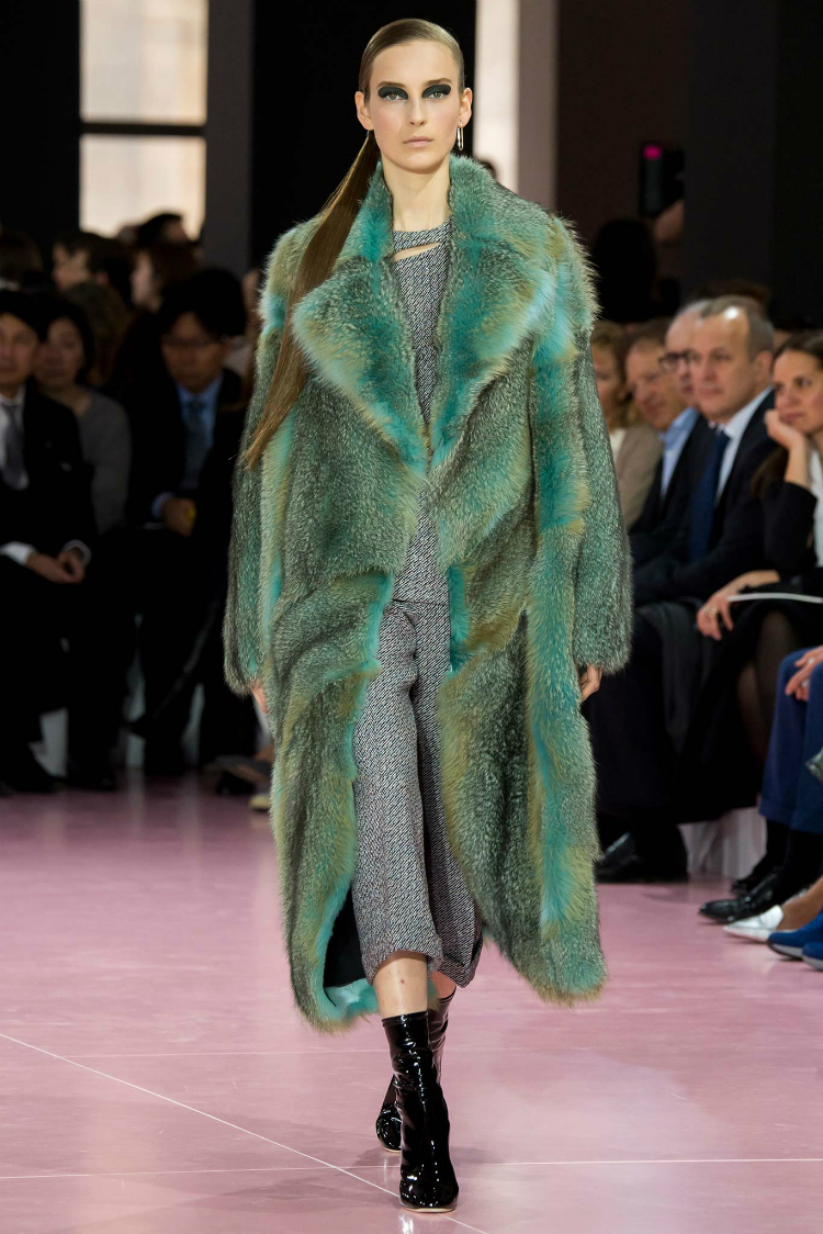 cdfall15_9.jpg