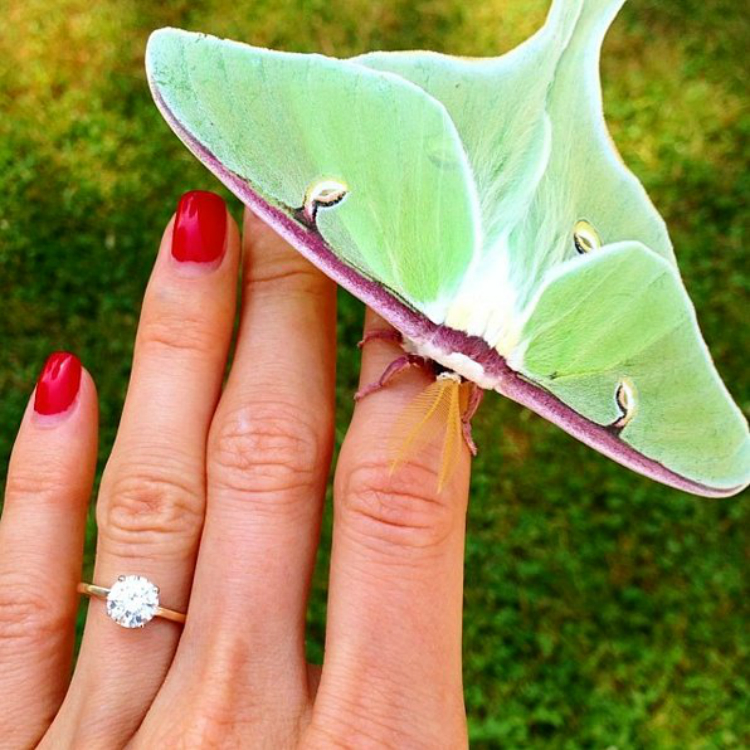 engagementrings_instagram_06.jpg