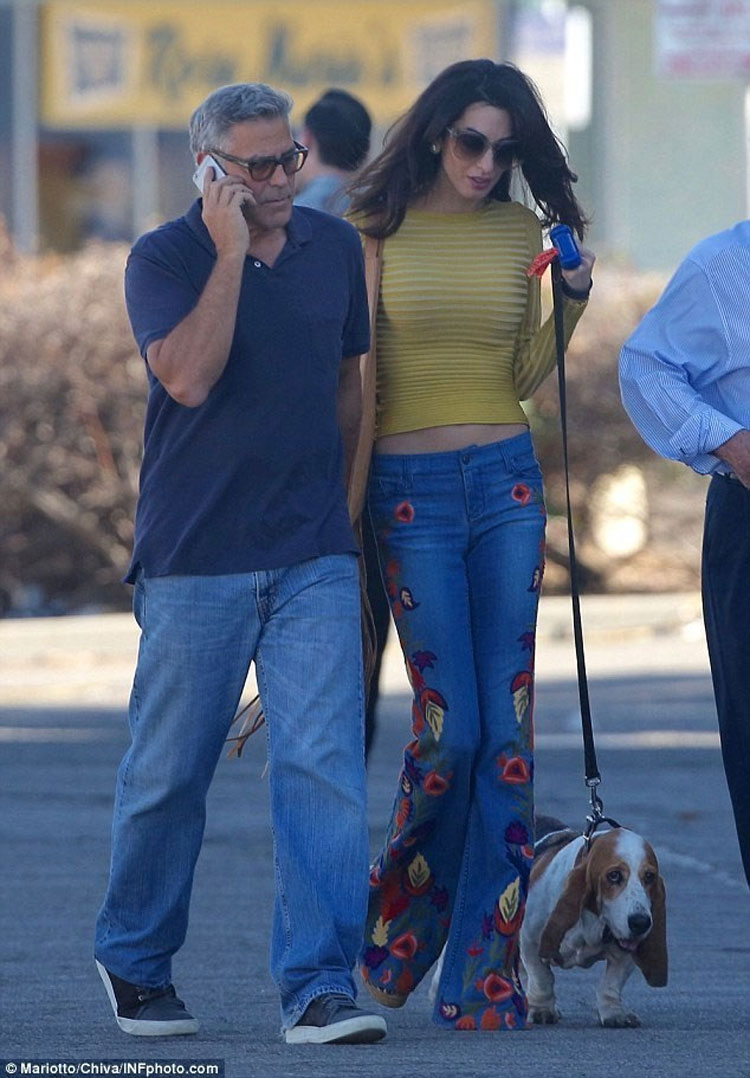 aaammalclooney6.jpg