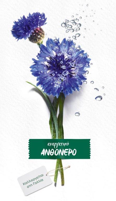 TEXTURE ANTHONERO BIO.jpg
