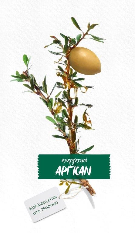 TEXTURE ARGAN BIO.jpg