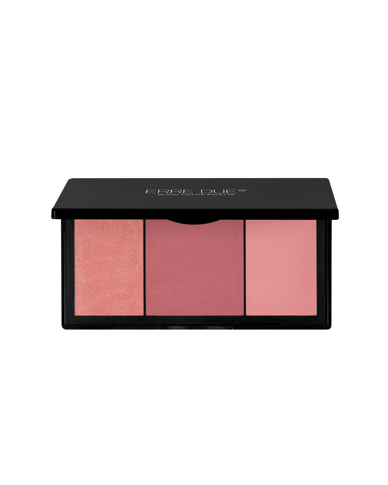 Blush-Color-Palette-No-300.jpg