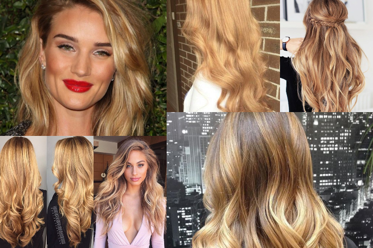 goldenhair_01.jpg
