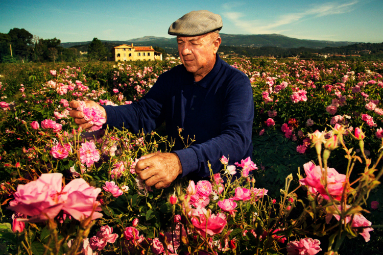 chanelno5_roses_00.jpg