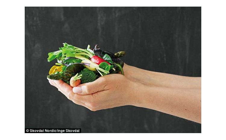 vegie.jpg