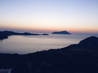 milos3.jpg