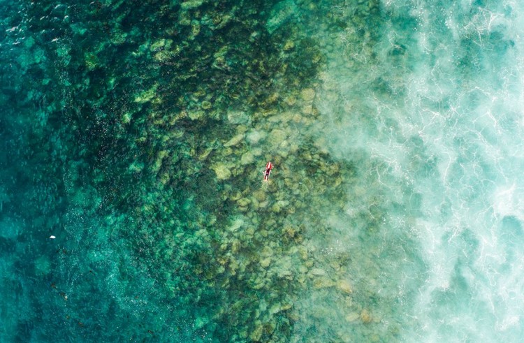 surf1.jpg