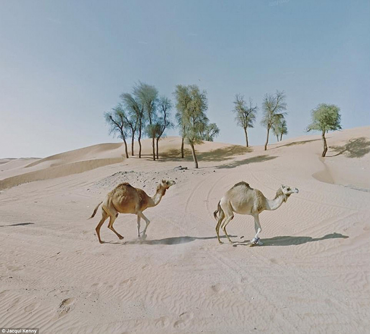 streetview3.jpg