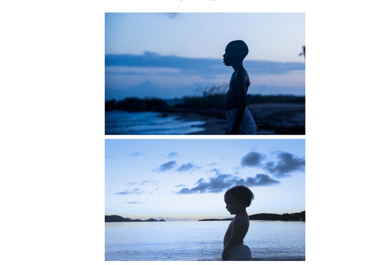 moonlight11.jpg
