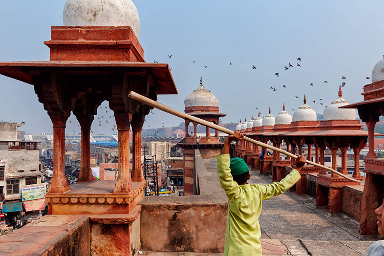 agra.jpg