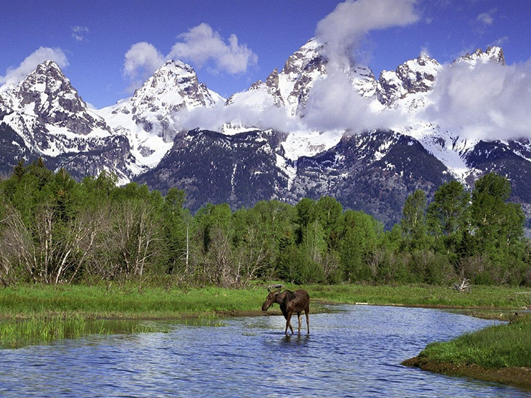 wyoming.jpg