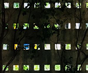Art Therapy & Inner Vision Photography: Πάρε μέρος στον εκπληκτικό Mindful Φωτογραφικό Περίπατο