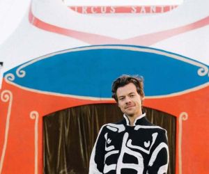 «Pleasing»: Ο Harry Styles λανσάρει μια σειρά premium sex toys