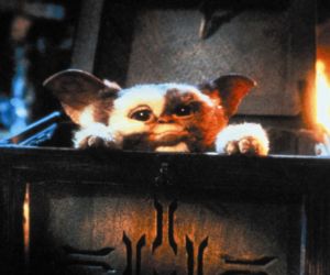 «Gremlins 3»: Πώς η Warner Bros. φέρνει ξανά στο σήμερα τους Mogwai